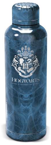 HARRY POTTER BOTELLA TERMO ACERO INOXIDABLE 515ML YOUNG ADULT